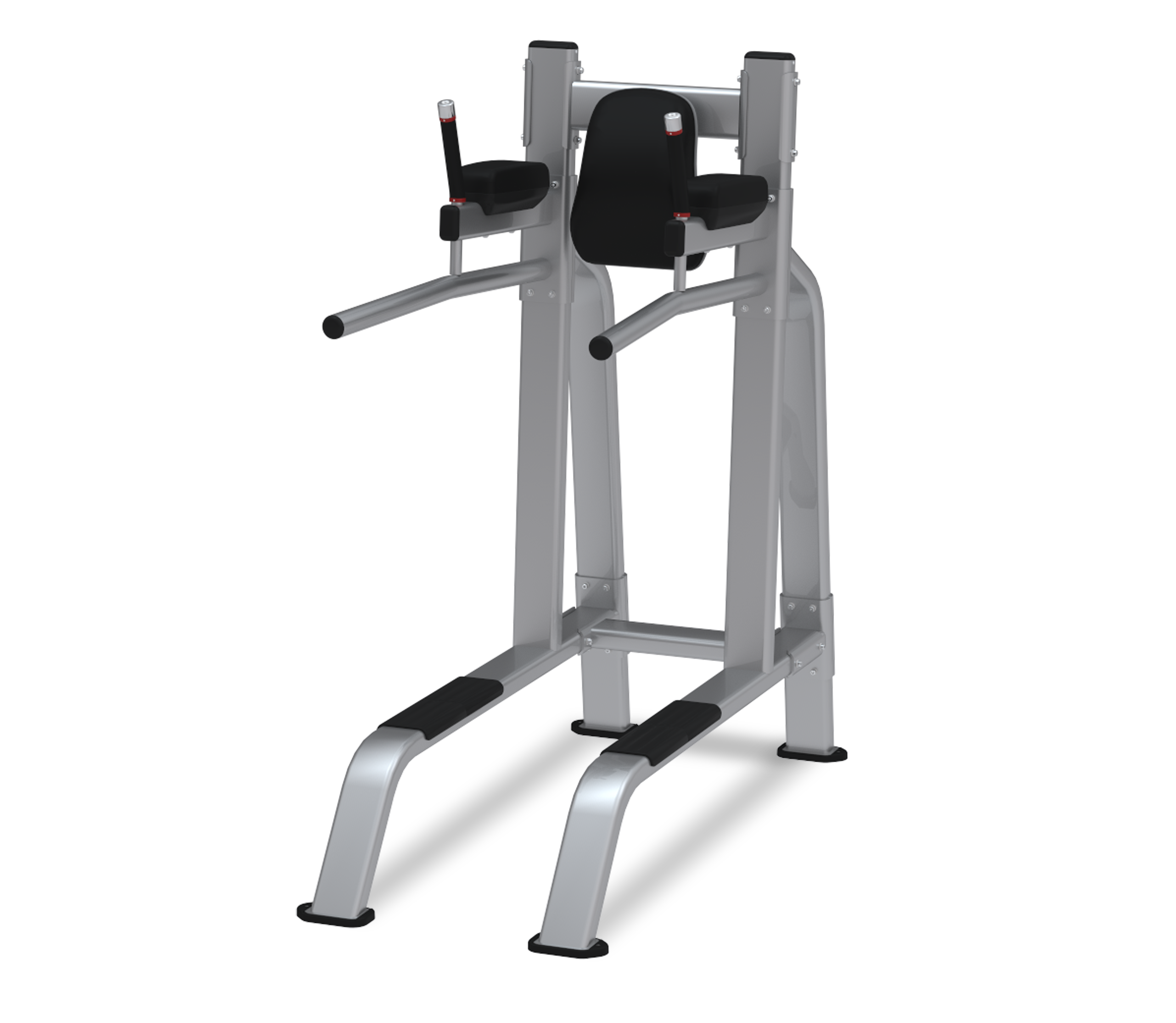 leg raise dip