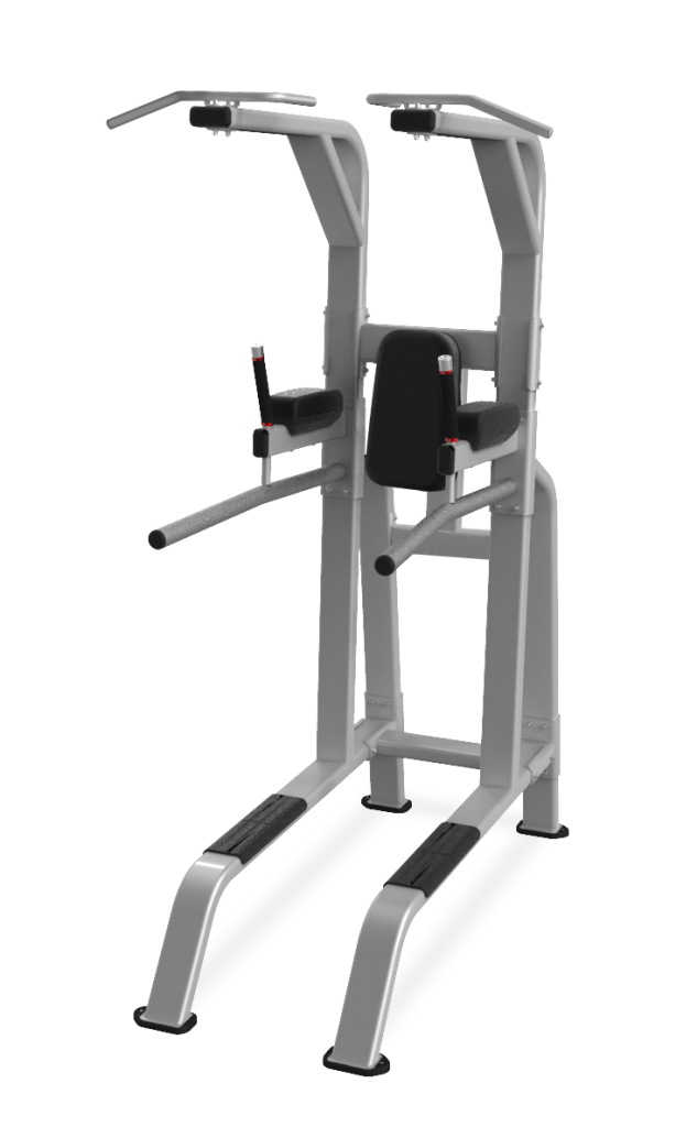 Image Nautilus Benches & Racks Pull Up Dip Leg Raise Parkway